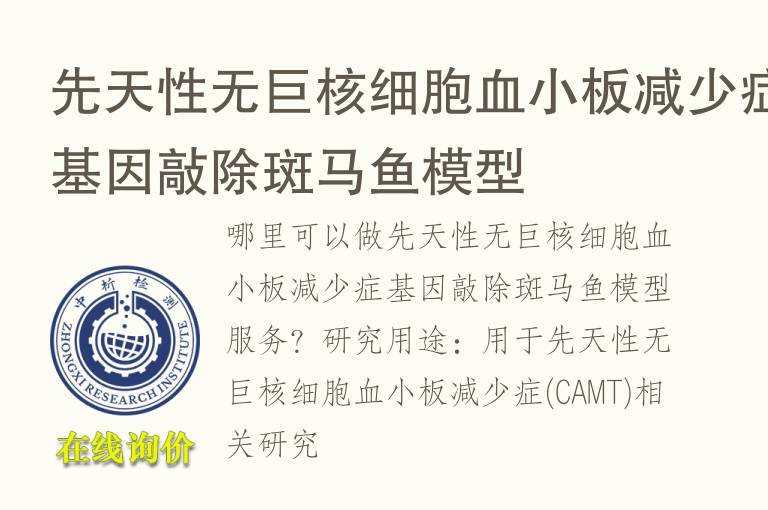 先天性无巨核细胞<font color='red'>血</font>小板减少症基因敲除斑马鱼模型